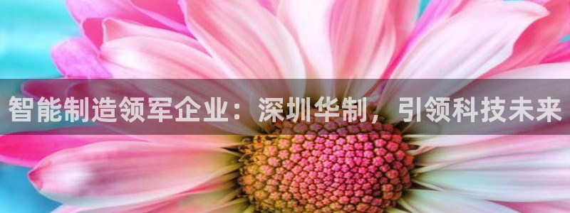 彩神v争霸是啥：智能制造领军企业：深圳华制，引领科技未来