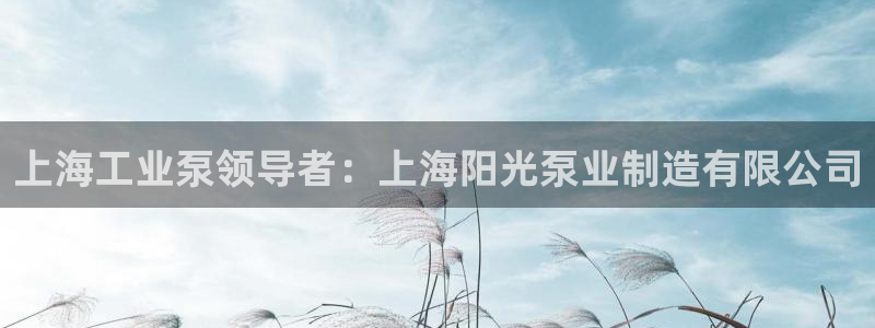 彩神8app官方下载：上海工业泵领导者：上海阳光泵业制造有限公司