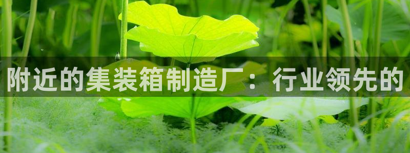 彩神vip官方网站：附近的集装箱制造厂：行业领先的