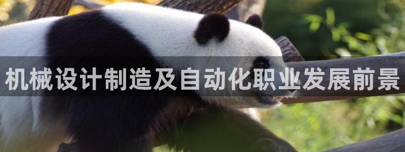 彩神平台是真的吗：机械设计制造及自动化职业发展前景