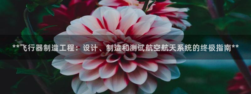 彩神大发cp：**飞行器制造工程：设计、制造和测试航空航天系统的终极指南**