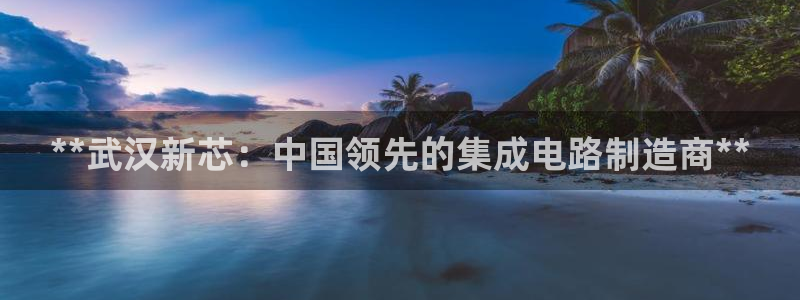 彩神v1破解器：**武汉新芯：中国领先的集成电路制造商**
