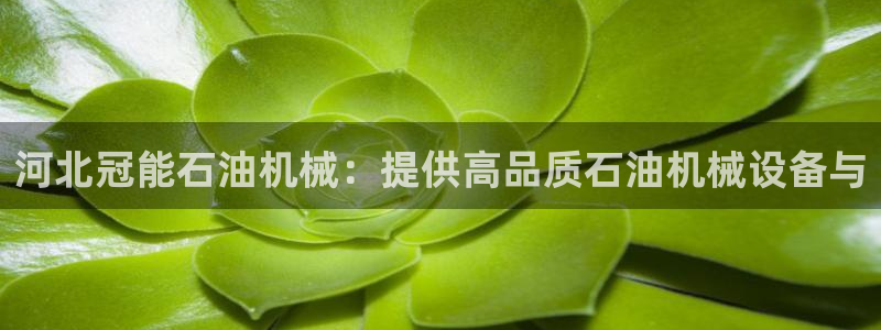 彩神velcome购彩大厅：河北冠能石油机械：提供高品质石油机械设备与