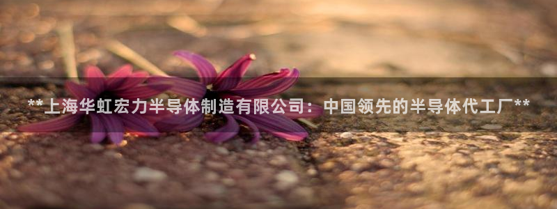 彩神这个平台是真的吗：**上海华虹宏力半导体制造有限公司：中