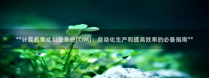 彩神8官网合法吗：**计算机集成制造系统(CIM)：自动化生产和提高效率的必备指南**