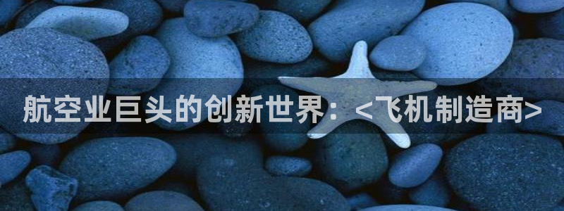 彩神x平台靠什么盈利：航空业巨头的创新世界：<飞机制造商>