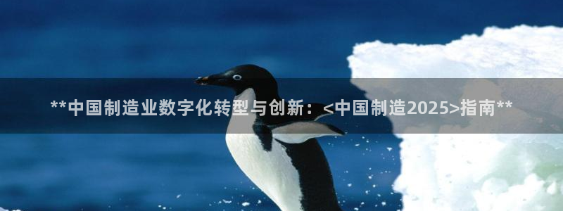 彩神怎么才能赢：**中国制造业数字化转型与创新：<中国制造2025>指南**