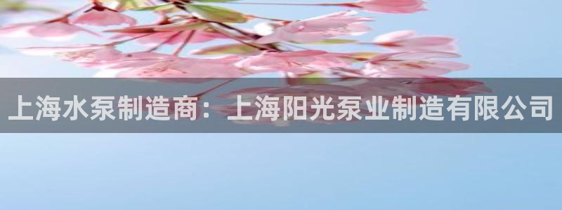 彩神v8是真的挣钱吗：上海水泵制造商：上海阳光泵业制造有限公