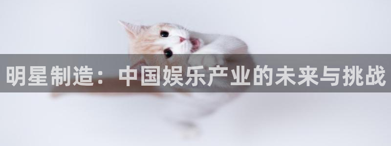 彩神v|：明星制造：中国娱乐产业的未来与挑战