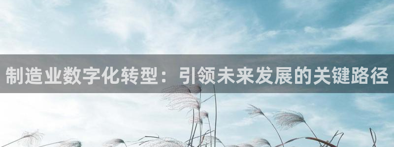 彩神平台能提现吗：制造业数字化转型：引领未来发展的关键路径