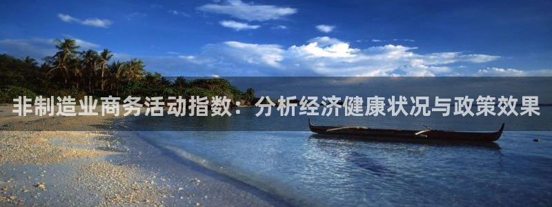 彩神平台：非制造业商务活动指数：分析经济健康状况与政策效果