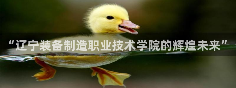 彩神争霸老平台：“辽宁装备制造职业技术学院的辉煌未来”
