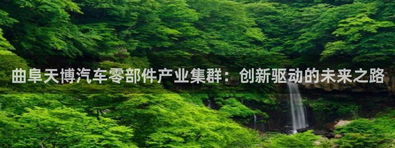 彩神v8是一个什么平台游戏：曲阜天博汽车零部件产业集群：创新