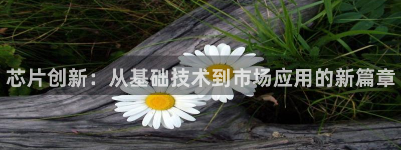 彩神可以提现吗：芯片创新：从基础技术到市场应用的新篇章