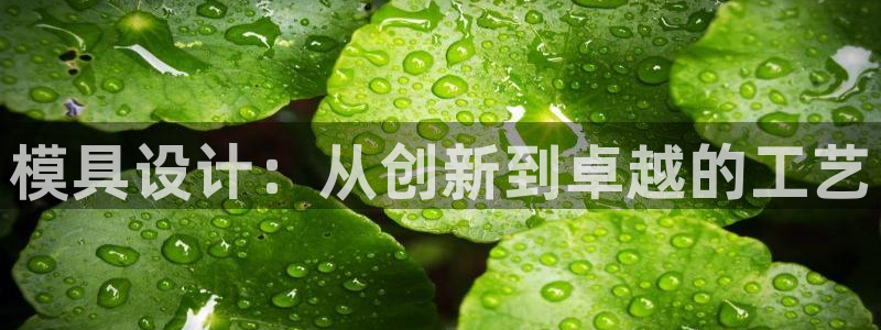 彩神ix能赚钱吗：模具设计：从创新到卓越的工艺