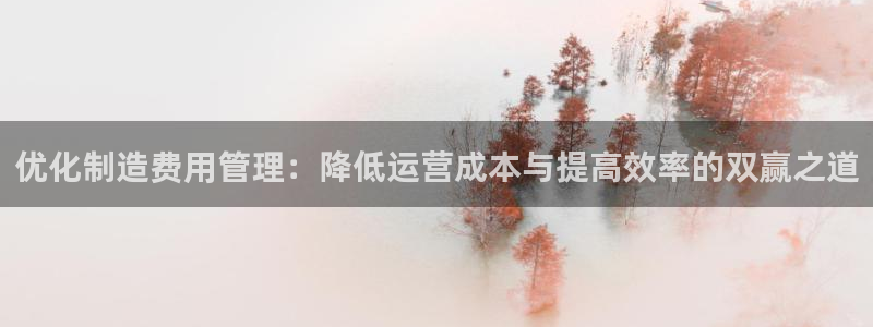 彩神vlll官方网：优化制造费用管理：降低运营成本与提高效率的双赢之道