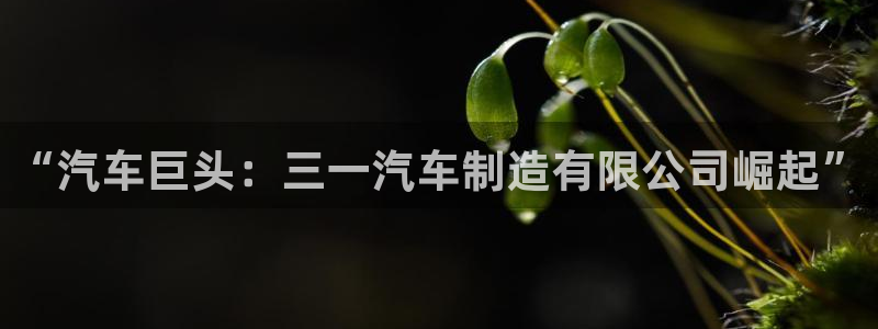 彩神8官网版：“汽车巨头：三一汽车制造有限公司崛起”