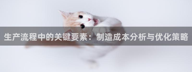 彩神平台注册登录：生产流程中的关键要素：制造成本分析与优化策略