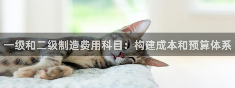 彩神v争霸有限公司：一级和二级制造费用科目：构建成本和预算体系