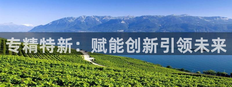 彩神v|：专精特新：赋能创新引领未来