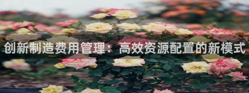 彩神v8是一个什么平台游戏