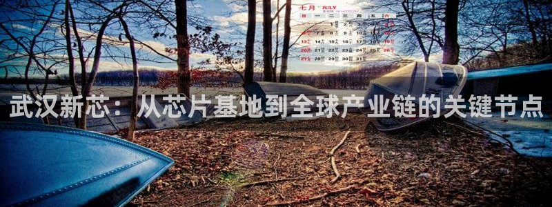 彩神争霸老平台：武汉新芯：从芯片基地到全球产业链的关键节点