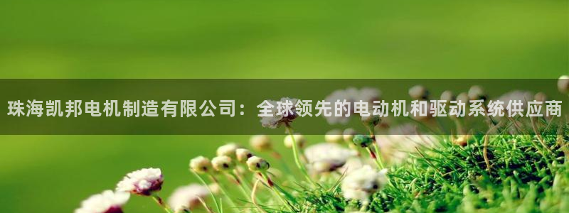 下载彩神通关注金码：珠海凯邦电机制造有限公司：全球领先的电动