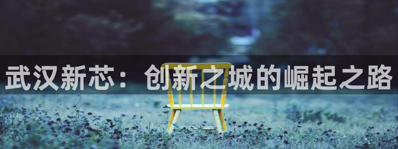有谁知道彩神争霸的网址：武汉新芯：创新之城的崛起之路