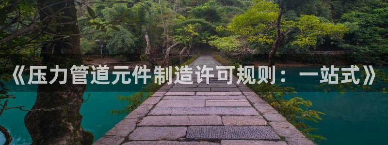 彩神通官网下载：《压力管道元件制造许可规则：一站式》