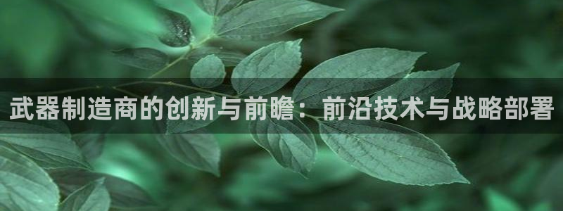 彩神vl官网：武器制造商的创新与前瞻：前沿技术与战略部署