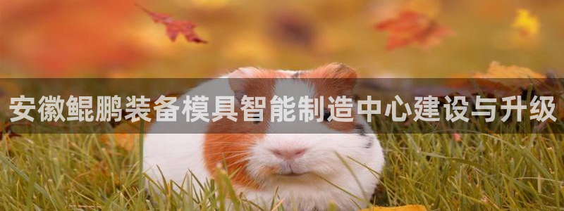 彩神购彩-购彩大厅入口老版：安徽鲲鹏装备模具智能制造中心建设与升级