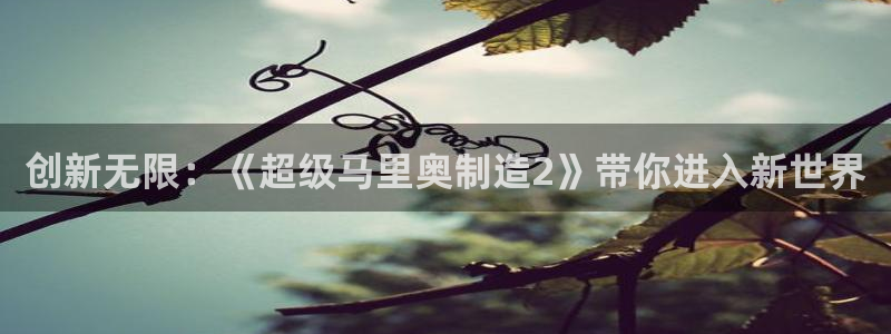 彩神x平台靠什么盈利：创新无限：《超级马里奥制造2》带你进入新世界
