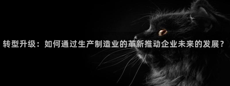 彩神v1破解器：转型升级：如何通过生产制造业的革新推动企业未来的发展？