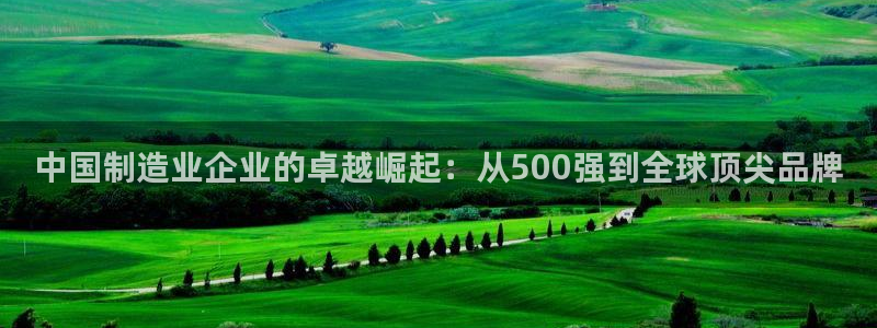 彩神8官网版是正规的吗：中国制造业企业的卓越崛起：从500强到全球顶尖品牌