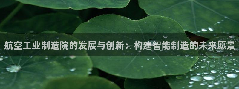彩神v8是一个什么平台啊：航空工业制造院的发展与创新：构建智