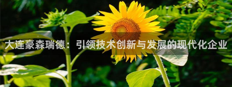 彩神通关注码金码对应码：大连豪森瑞德：引领技术创新与发展的现代化企业