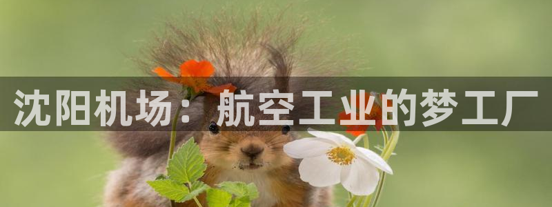彩神VI首页：沈阳机场：航空工业的梦工厂