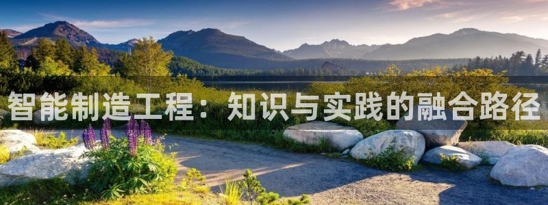 彩神的邀请码是多少：智能制造工程：知识与实践的融合路径