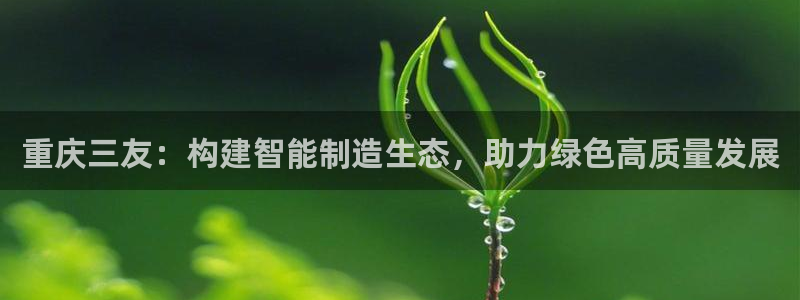 彩神v8是一个什么平台
