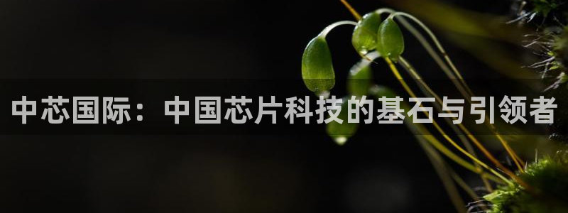 彩神v彩搜狗：中芯国际：中国芯片科技的基石与引领者