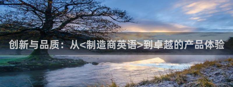 彩神赢了钱登录不上去：创新与品质：从<制造商英语>到卓越的产品体验