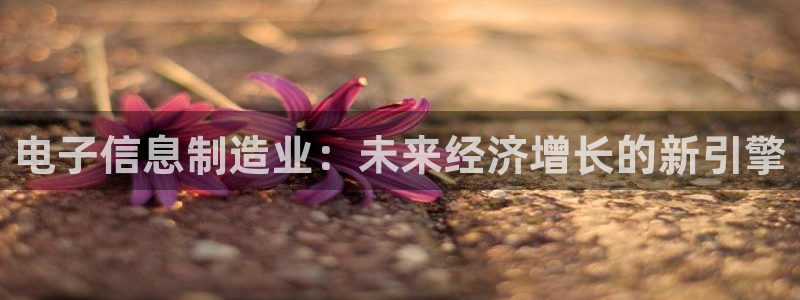 在彩神网输了六万多怎么拿回来：电子信息制造业：未来经济增长的新引擎