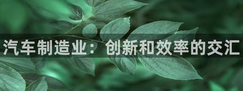 彩神平台能提现吗：汽车制造业：创新和效率的交汇
