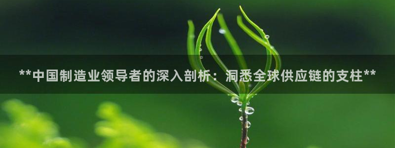 彩神争霸平台：**中国制造业领导者的深入剖析：洞悉全球供应链的支柱**