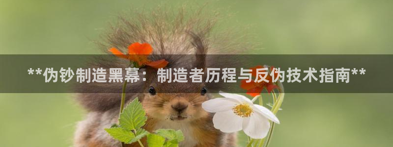 彩神网可以赚钱是真的吗：**伪钞制造黑幕：制造者历程与反伪技术指南**