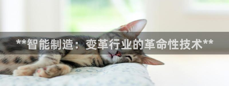 在彩神网输了六万多怎么拿回来：**智能制造：变革行业的革命性技术**