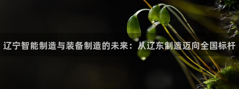 彩神v8手机客户端怎么下载：辽宁智能制造与装备制造的未来：从辽东制造迈向全国标杆