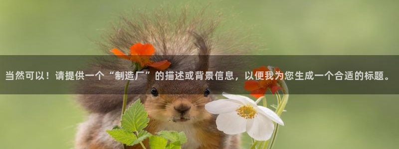 彩神赢钱了吗：当然可以！请提供一个“制造厂”的描述或背景信息