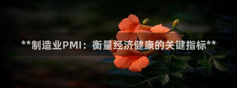 v彩神88iii：**制造业PMI：衡量经济健康的关键指标**