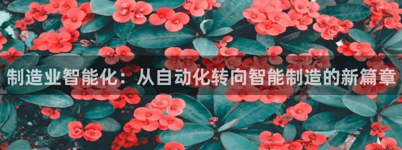 新版彩神v8登录教程：制造业智能化：从自动化转向智能制造的新篇章